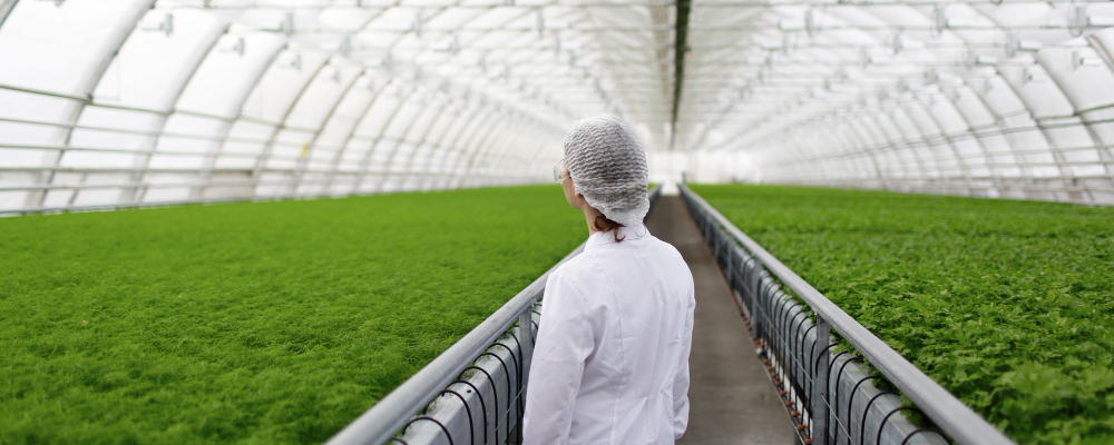 Agricultural Services